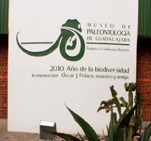 Museo de PaleontologÃ­a