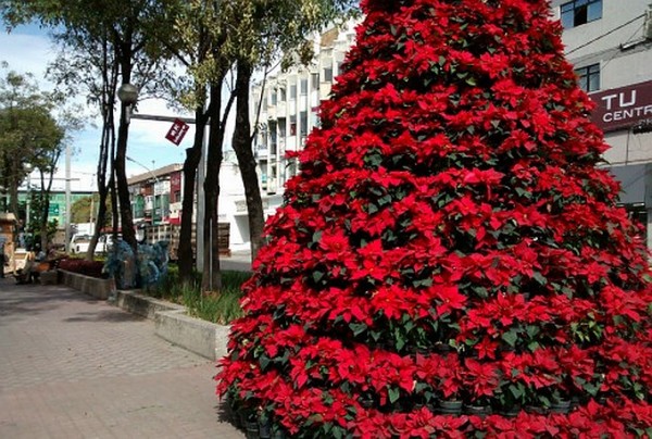 Feria de las Flores