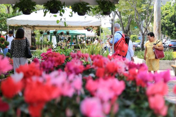 Feria de las Flores